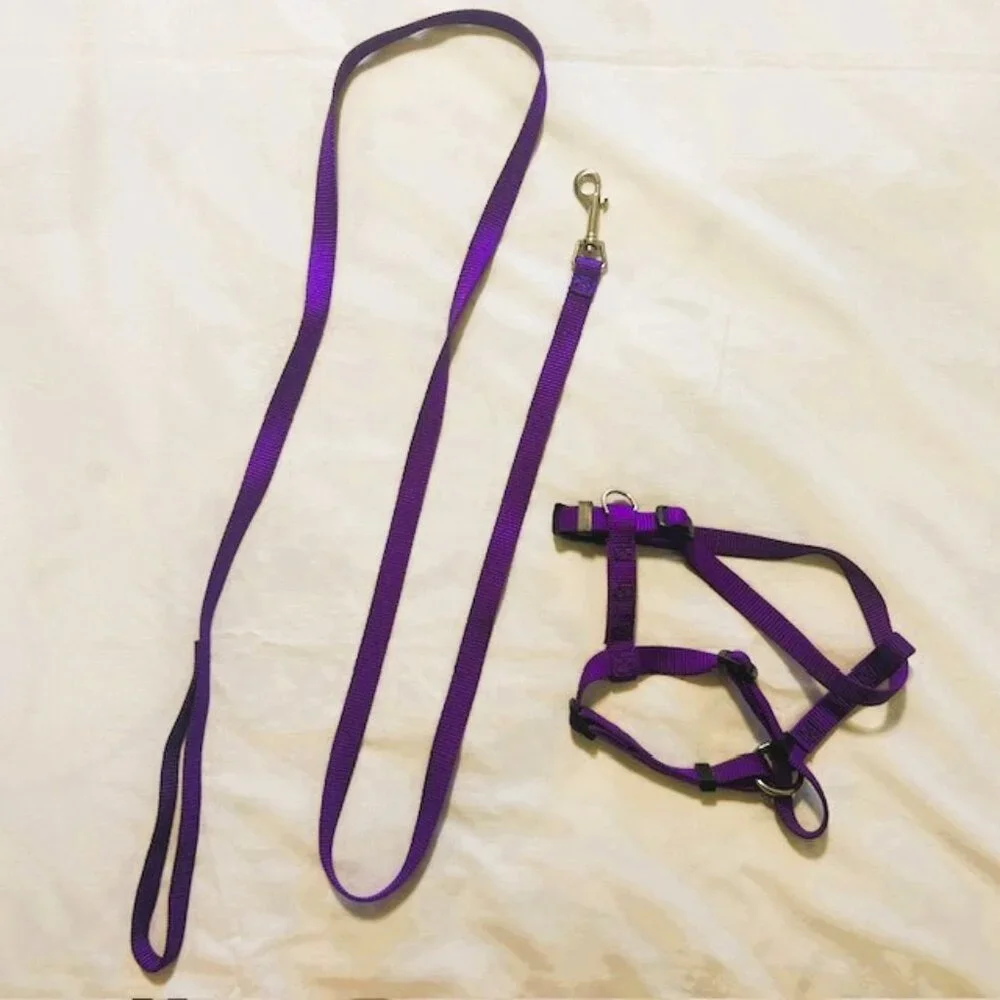 Dog Harness and Leash Unbranded Purple Medium Adjustable